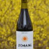 Zdjęcie butelki Domani