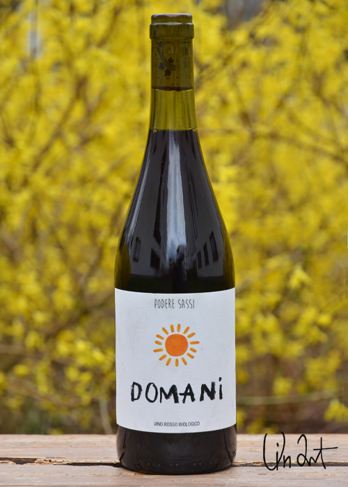Zdjęcie butelki Domani