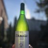 Coraggio