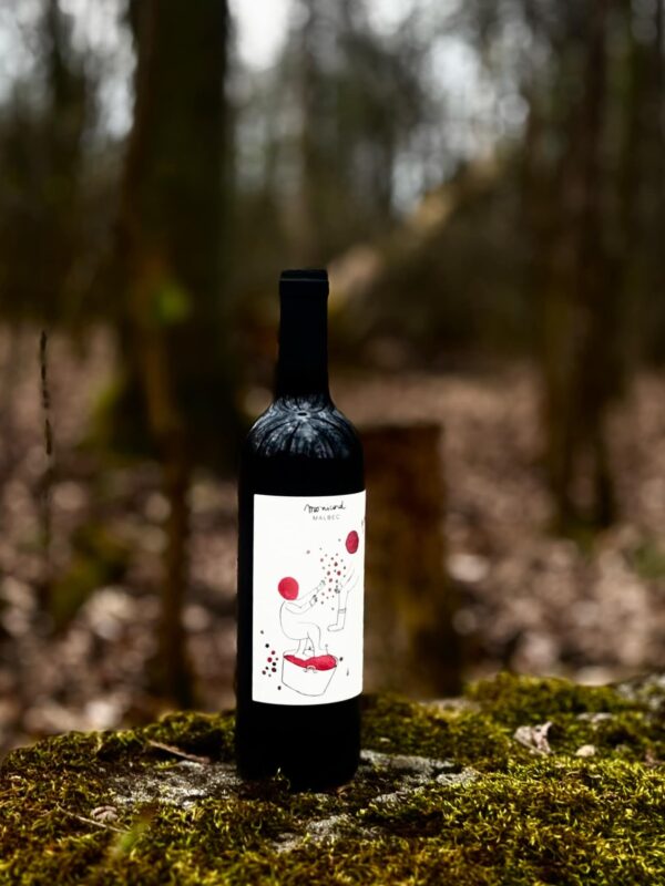 Zdjęcie butelki Malbec de Monicord