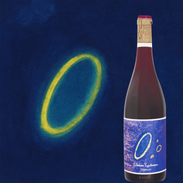 saggezza Ilustracja butelki Saggezza